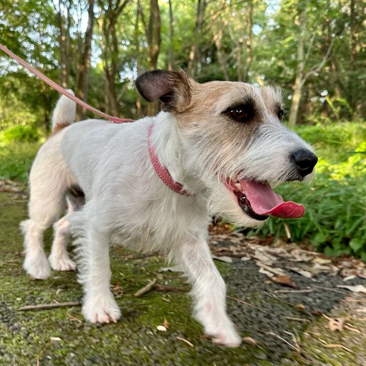 186c471b bf53 4283 9aeb 0d8cb5ca8621 1687086818206