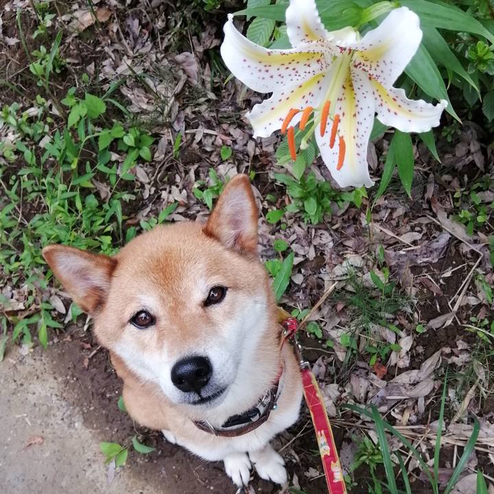 186c4884 9a4a 4c7a 8ef4 ee421343e233 1594886387197