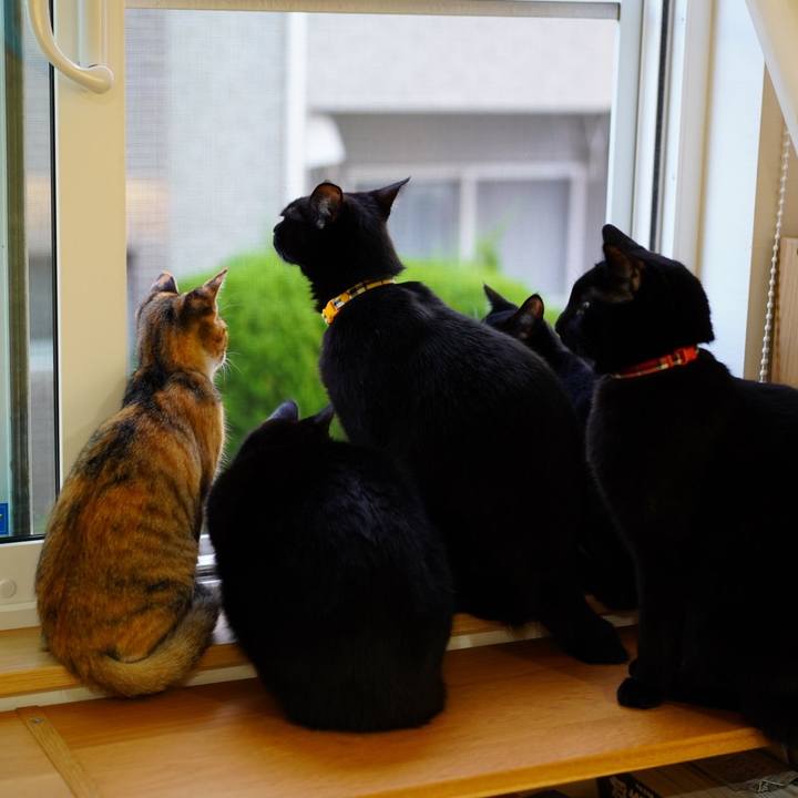 186c6710 7ee3 4656 b8ad 018aa981bfc1 1575330044426