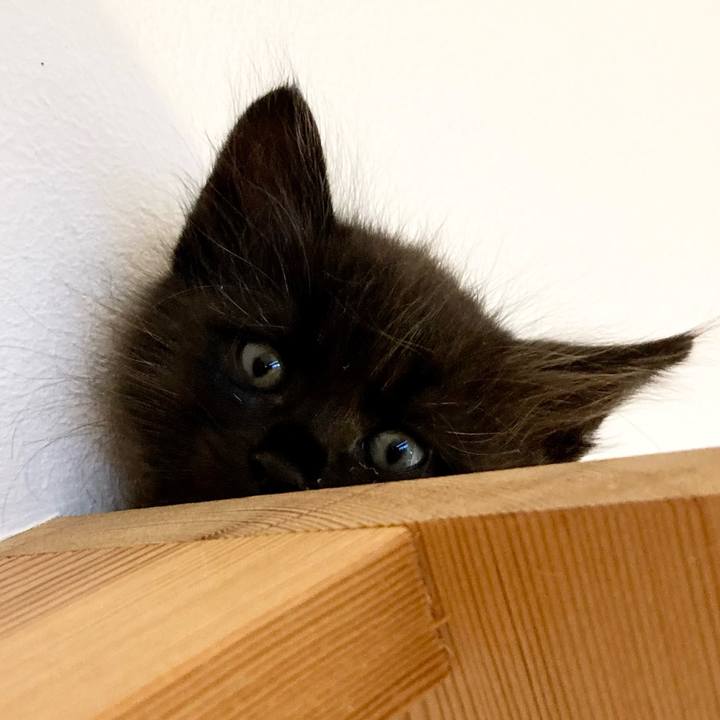 186c7952 67d6 456d a277 7993ae384c92 1698029079852