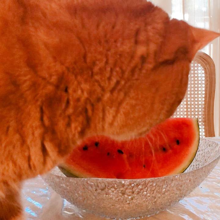 186cfd05 4927 472a 9119 22dfdf739e82 1558926822383