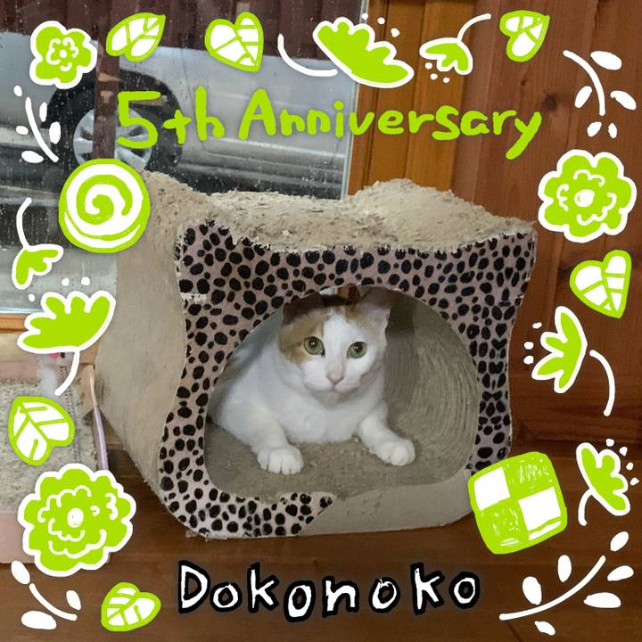 186d8018 49a4 40b6 b1d3 5a3426f1fe58 1622911698982