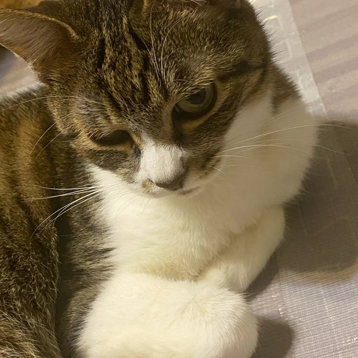 186d956d 00b5 4097 89a8 2eb017f3298b 1623094295503