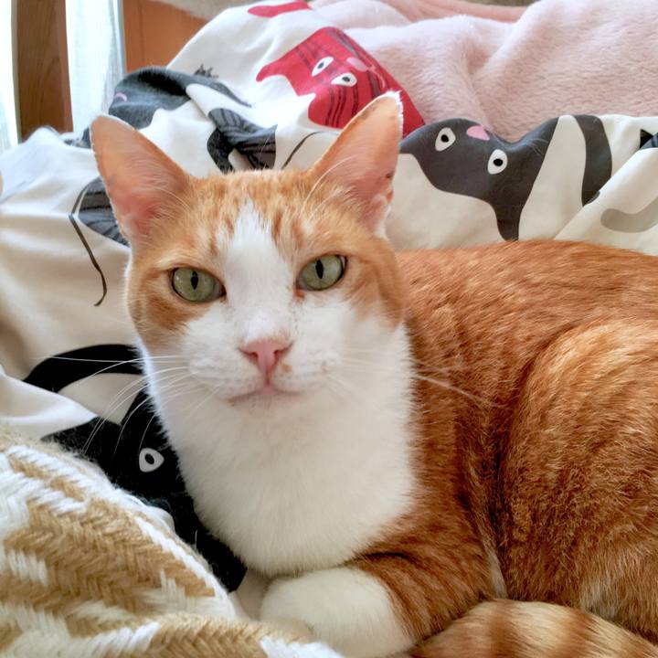 186e1a44 9296 427f 8f71 8ac57270e7eb 1570506576330