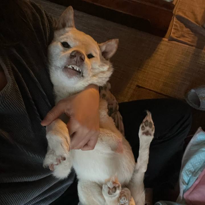 186e613b 89dc 473d 9c7c 8c2651c69241 1673252203205