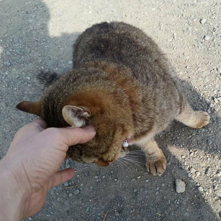 186e92f3 c5bd 4ae3 8b30 57fe9a5239e7 1522288846284