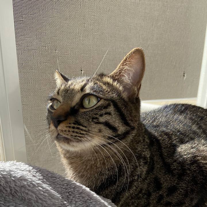 186ea2b0 aa95 4139 ad59 ec8d0bb9fc7a 1646552342315