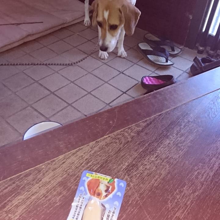 186ea731 e5ec 46f5 82ed 26bfa7cd3efe 1567562095826