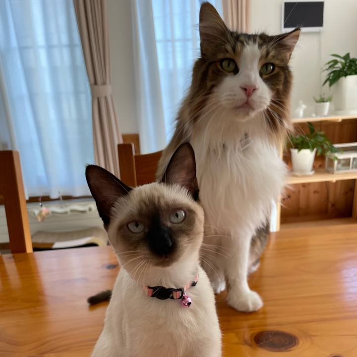 186eb336 6d26 4e6d af93 38bf1fd58403 1695537102033