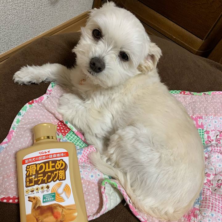 186ee438 b068 4a94 a220 bf9b676b16a1 1586088331171