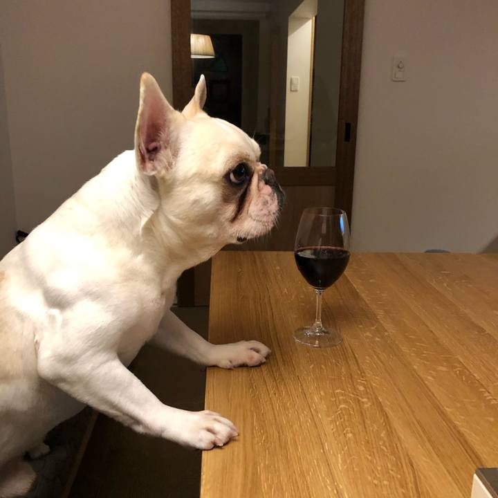 186ef277 1f93 4c8d 9b39 3426e5097d8b 1585814661827