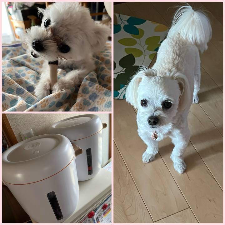 186f1b3d f782 475e abc4 758975d7bcef 1717225825264