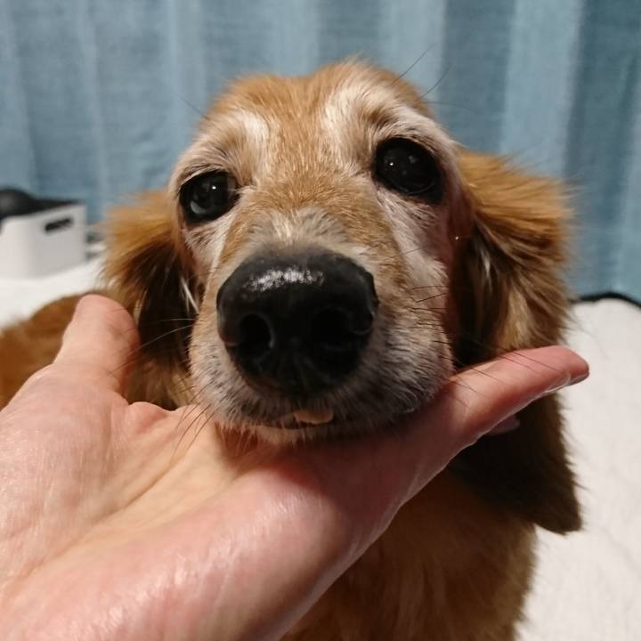 186f29c5 53e0 4b0b be7b 5f5813cfb6b2 1598378973529