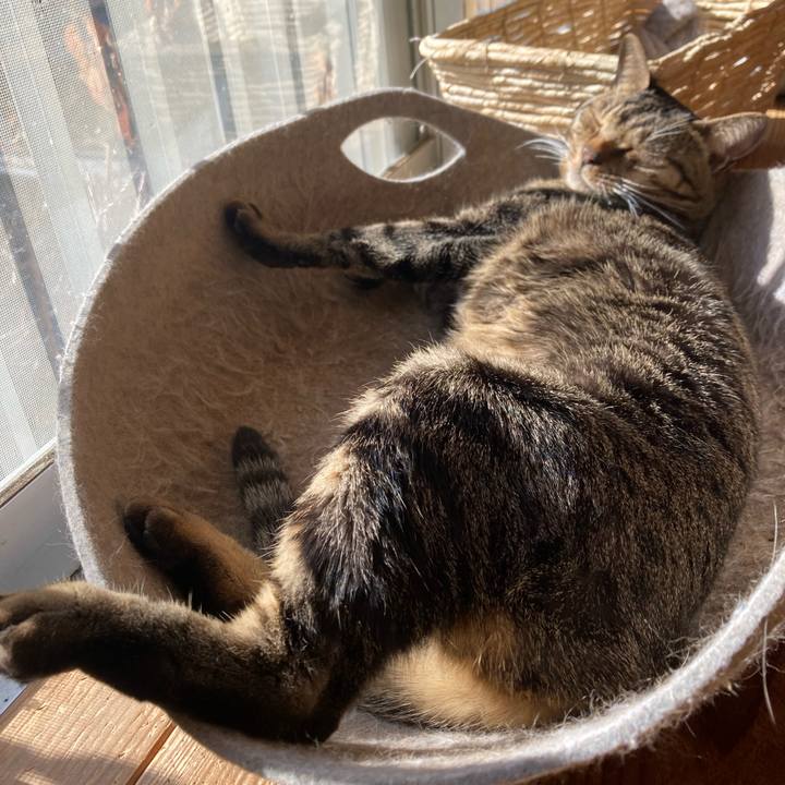 186f91c5 84f0 4200 911c bab8ecea9bb1 1768018604733