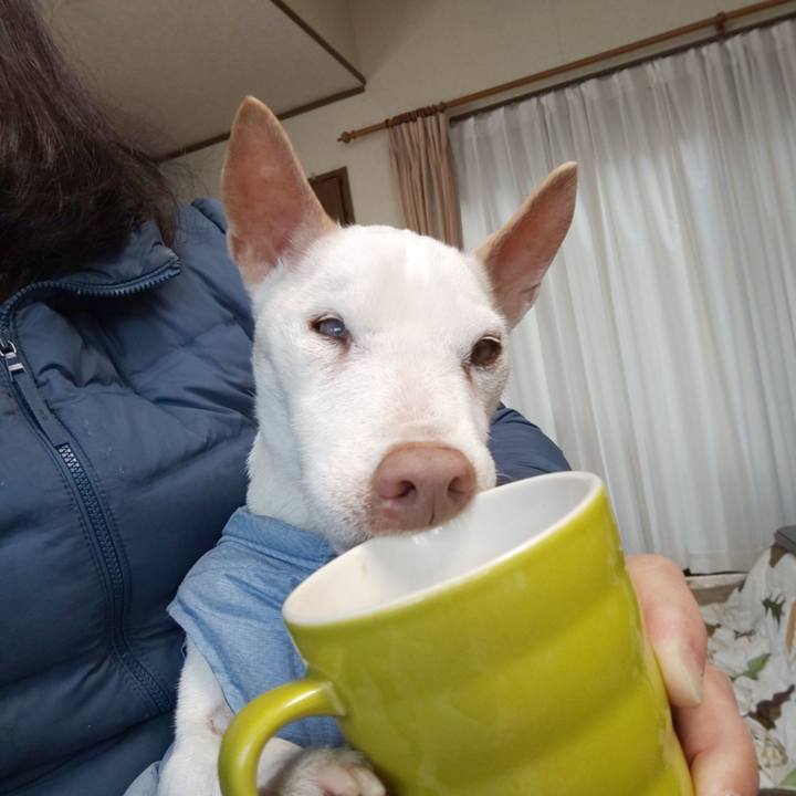 186f93c1 7602 4099 b5f0 527c0157e3be 1554421063614