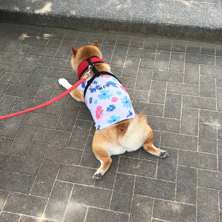 186f969b 76db 460d b241 fa7a264cfb09 1596938807219