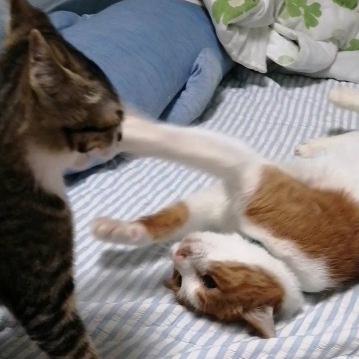 186f9d01 bdab 4f22 8941 ea0713679889 1661464054977