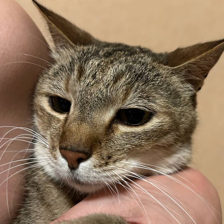 186f9f42 a487 4d77 a5ad 3c7e2718504b 1719841286899