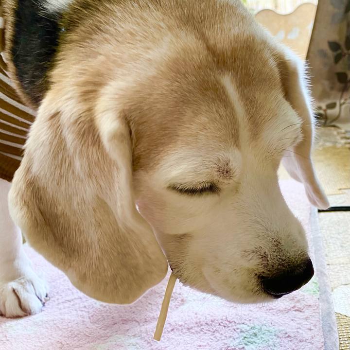 186fa745 9713 4127 bd6d 43464817479c 1644647657145