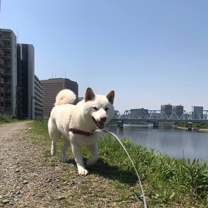 186fd056 ccab 417f b4dd e7880b032994 1524367244691