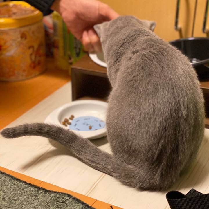 186fda1f 35b1 4133 8d79 0bffb2922d48 1608535636910