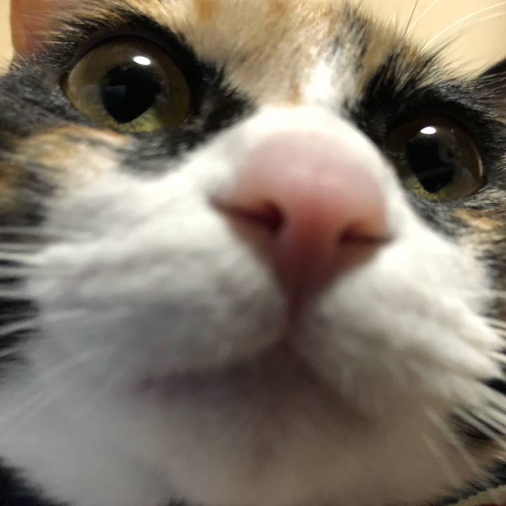 1870565d c9e7 4c2b b304 88ce847c9af4 1566647015481