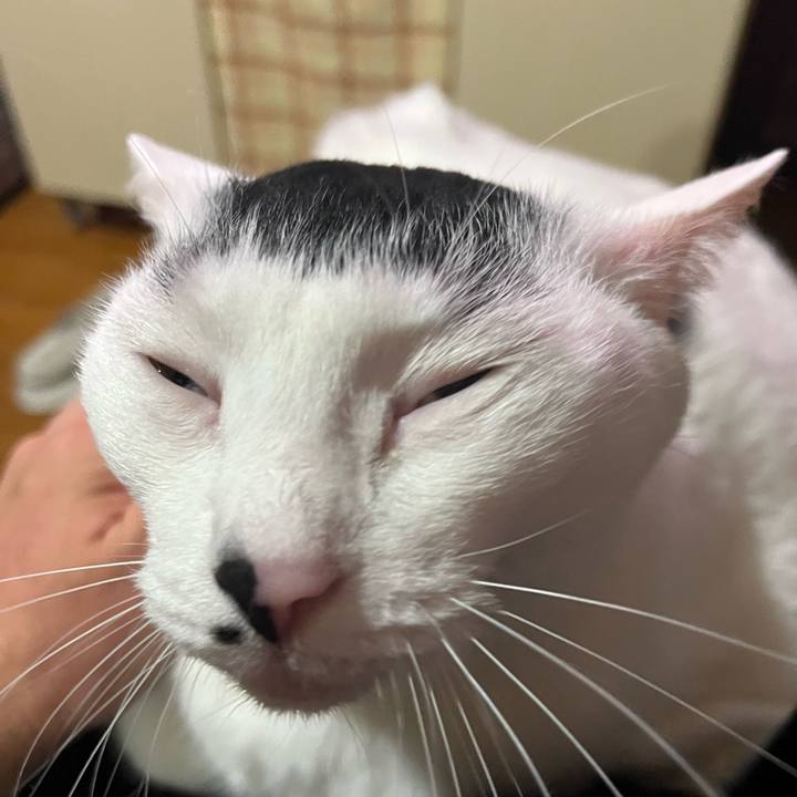 18708308 8f5a 4796 8aaa 251eec912e0a 1762433210165