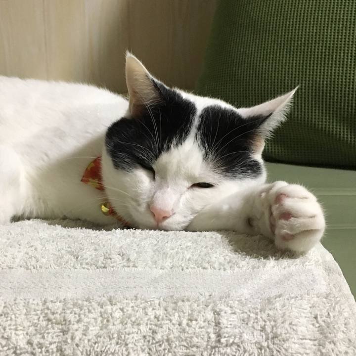 18709334 d8a0 4b13 9b85 6461a75cf4d0 1507983213385