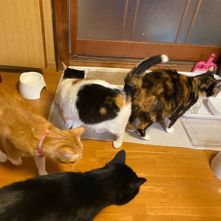 1870961f df15 48ed ac4c 249e9a812cae 1654782328012