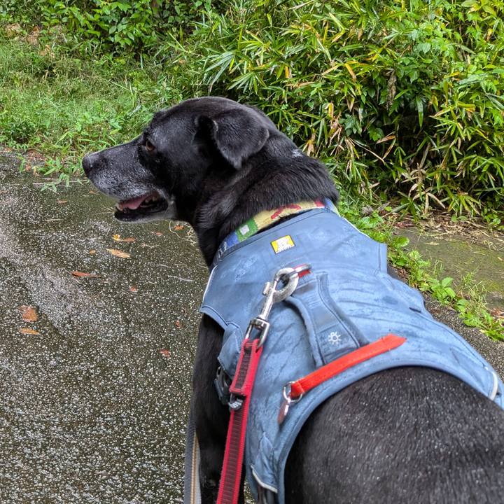 187136ce 9f17 43a1 84c3 3ed2dd445439 1728170721711