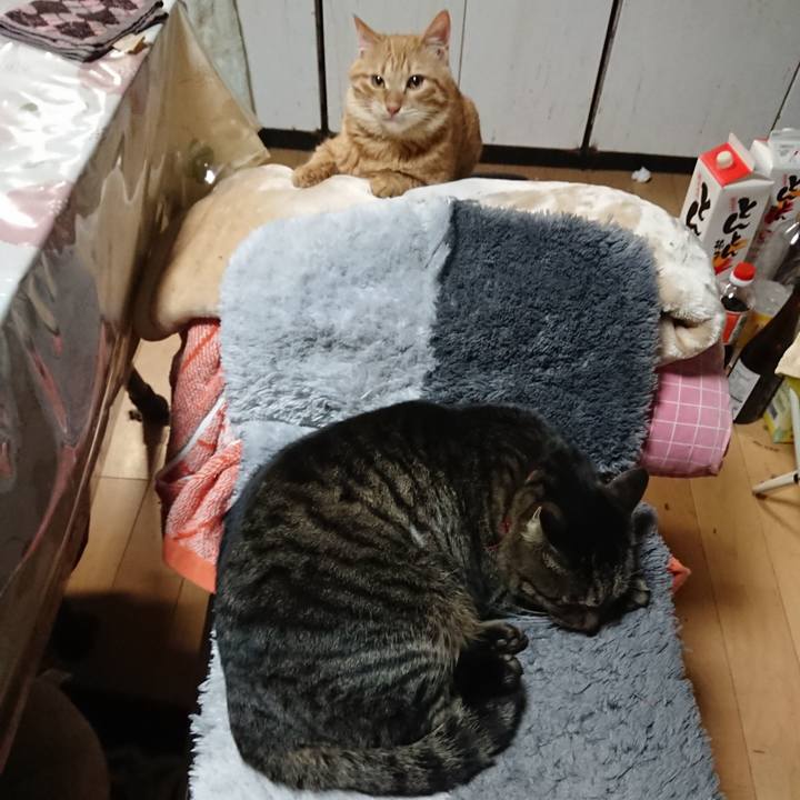 18713b1d 7926 487d 89ec eae1683f5796 1640942090096