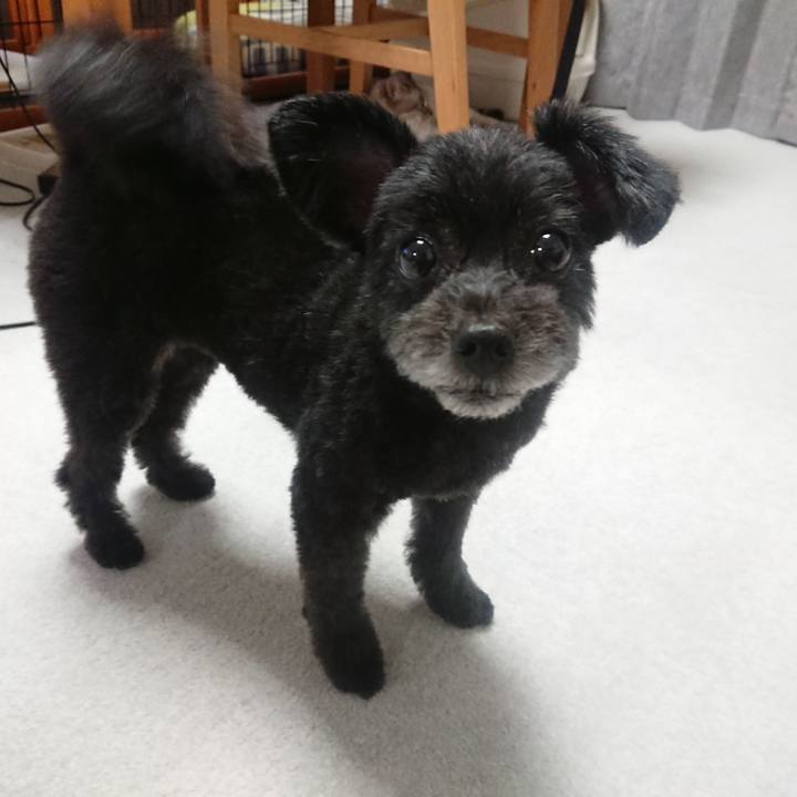 18715664 6e4d 4ddf 96a0 92f047aa39d6 1566744043120