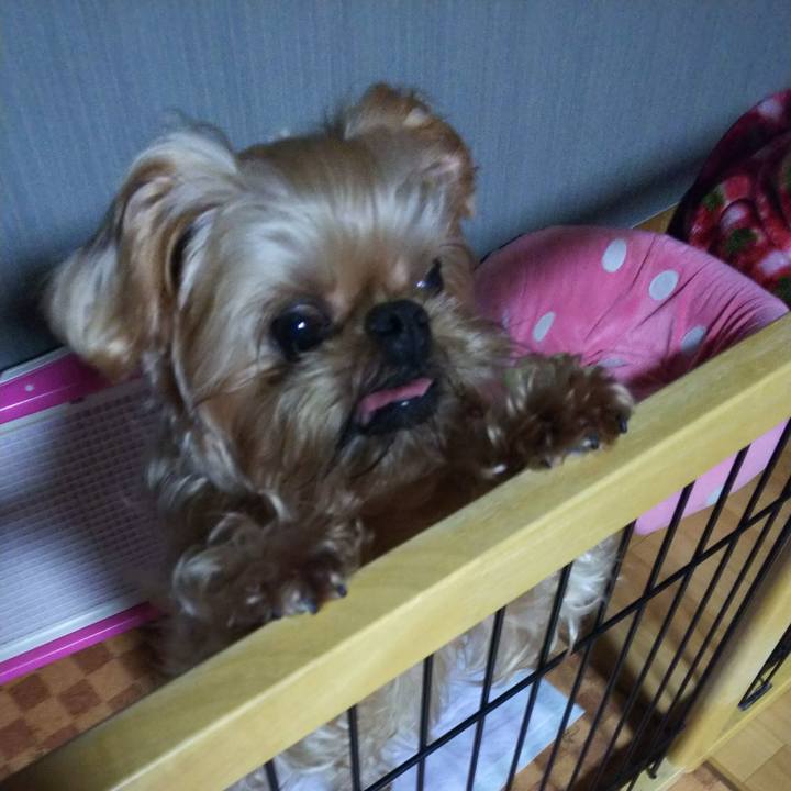 1871a880 b7ff 44fe 9be0 ecd2f81dbc60 1516915987502