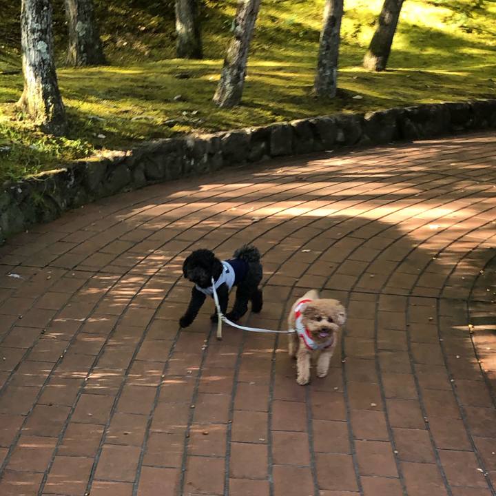 1871b5e1 63f8 4a78 b616 e296660e44b0 1603179839097