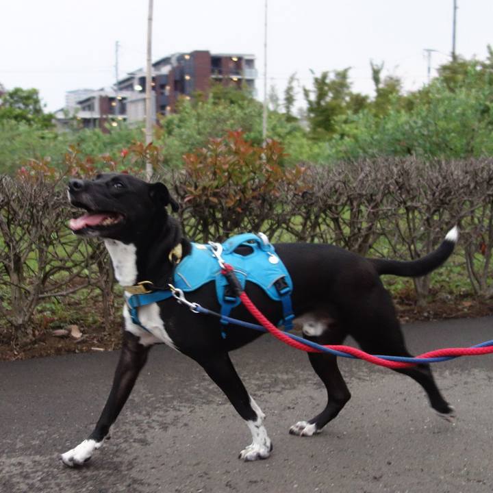 1871c3f3 6f15 4a0e afb0 53c12085e6ee 1623149332138