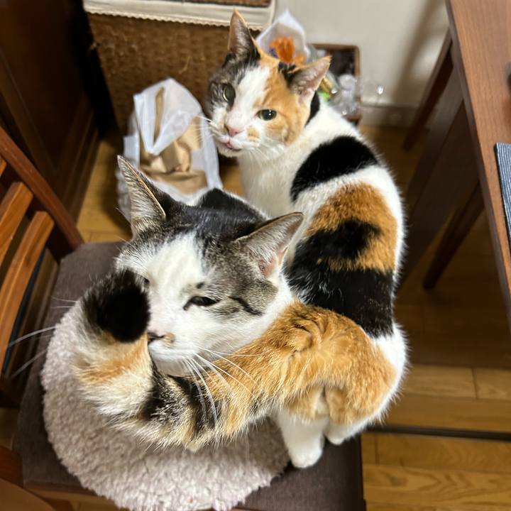 18722afd c8cd 43b0 a731 bd5aa70158f8 1712188912200