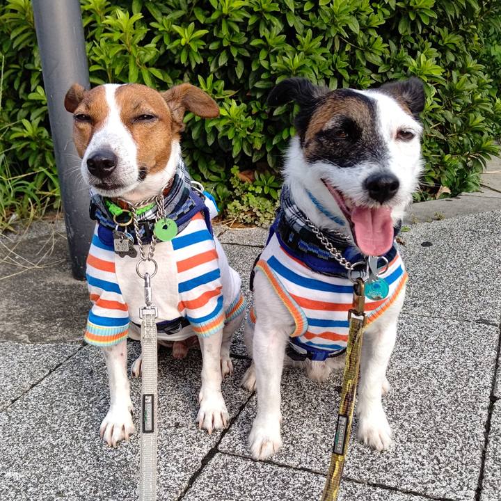 187247bc 062f 48bf 95b7 4369afb3d84b 1629755712073