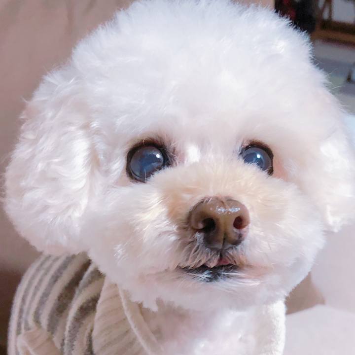 187248fb 1b2d 4883 b1bb d173b427337b 1549943123432