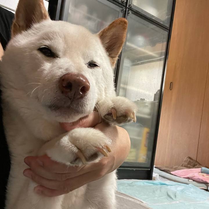 18728f36 0d70 41da 8b1d e527a4b66bfd 1634181807670