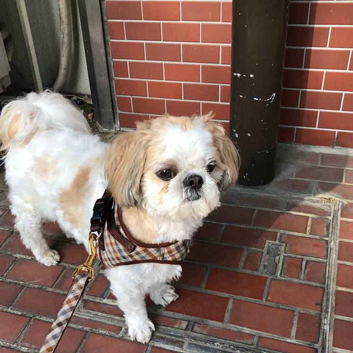 18729041 b6c9 47a9 8cbb 7309c34313d4 1525902149930