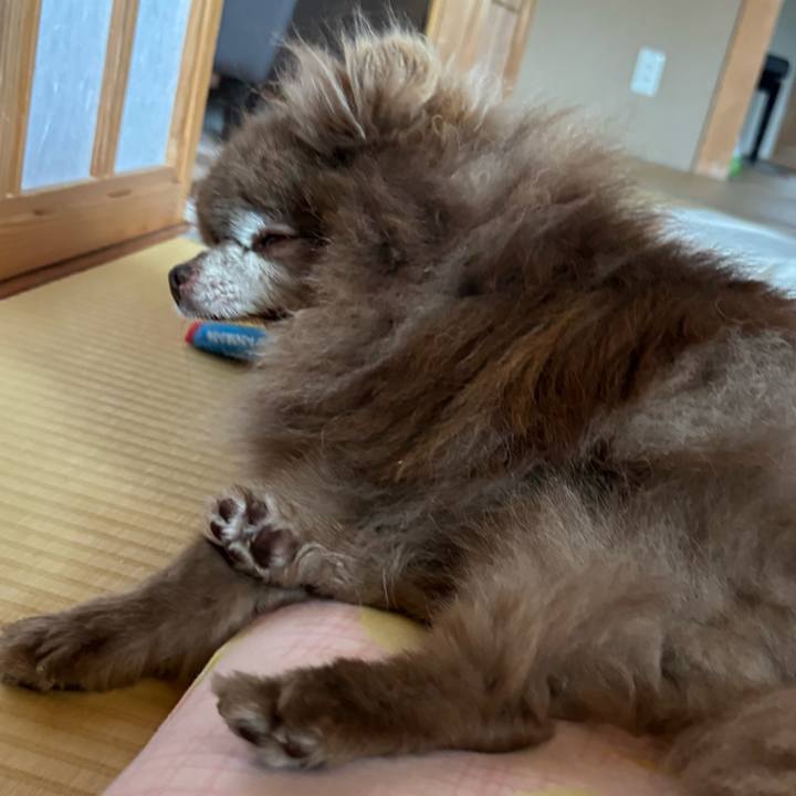 1872afce 3018 46a2 9595 182820818587 1748062938532