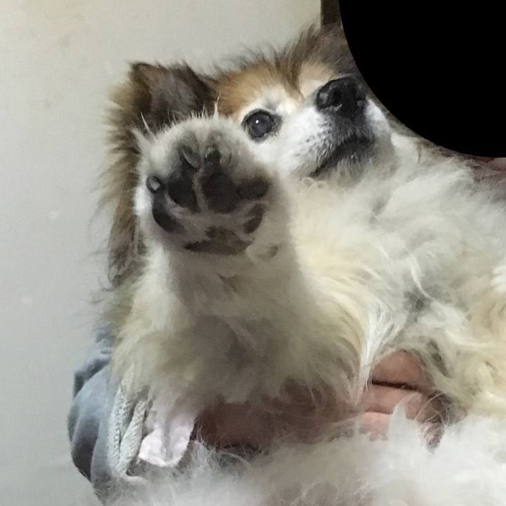 1872cd8a e207 45c1 b5fb 4e01ed56baf5 1587361634223