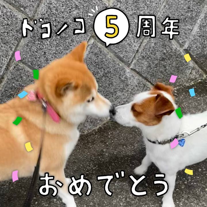 1873780d f4f6 4dc1 989c 2b9838795e87 1622862550056