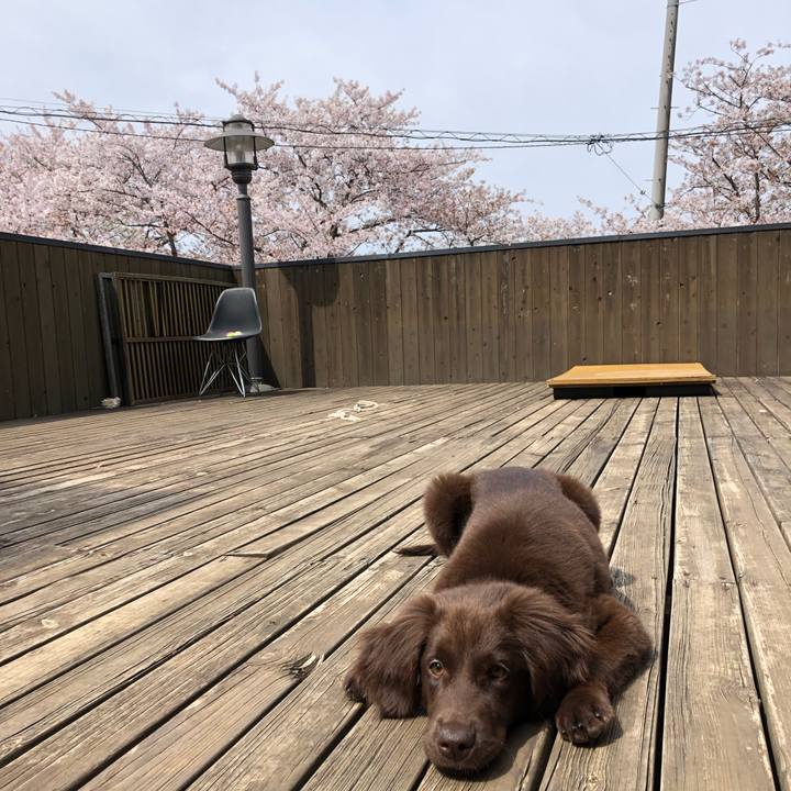 187379a1 4215 4114 9113 03cffd184f20 1555204547567