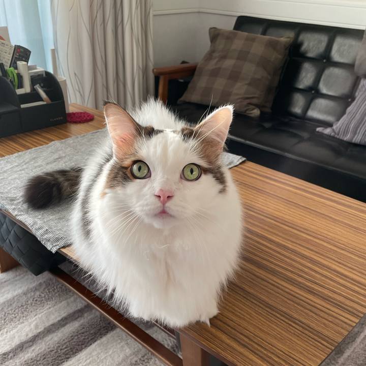 187383a1 3e1e 450d b152 91c3a7d8d307 1768435525255