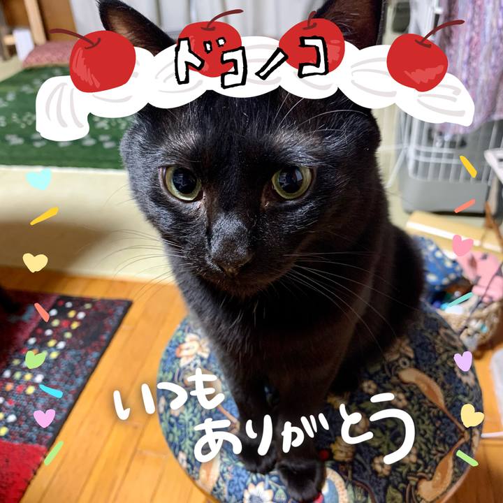 18739cb3 3090 4809 a7ad ffe10aa75a66 1685934536118