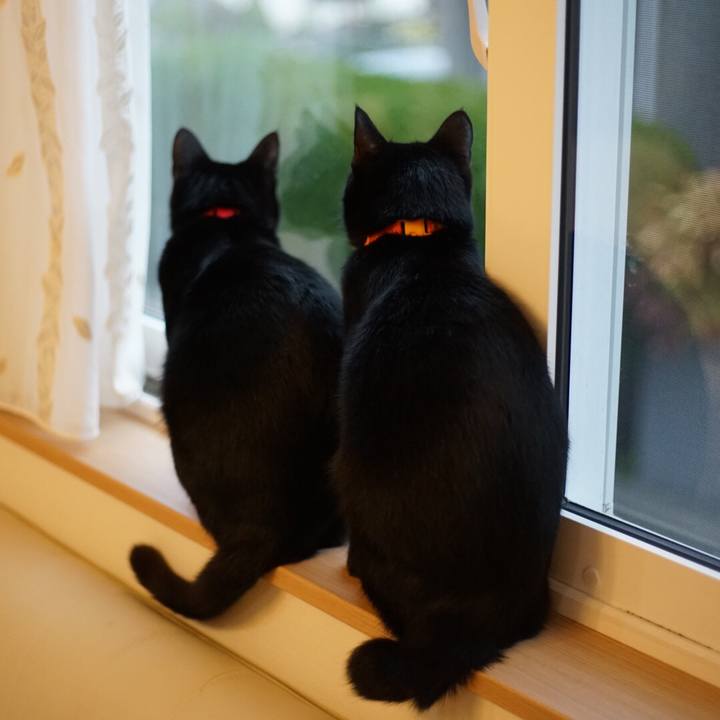 1873bfbf 6c11 47ef 93ac aedec04d313f 1521154559553