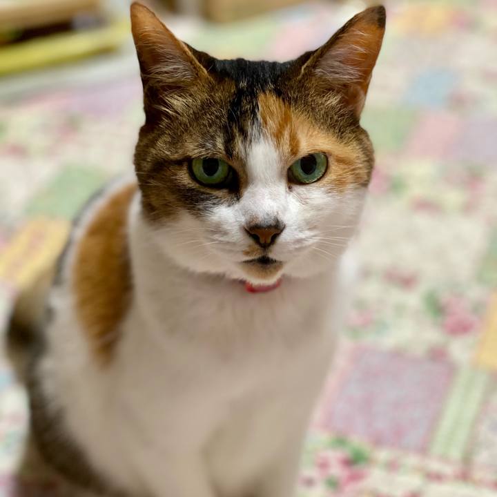 1873d593 0586 456d b303 c485c9830444 1621647881398