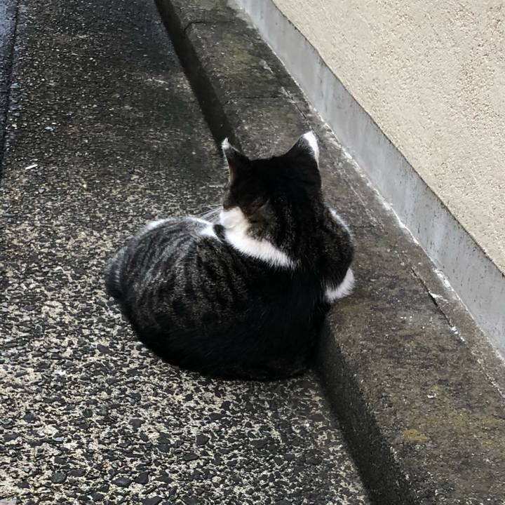 187425dd 5c23 4ca5 9a8f ebab6324caf9 1567676445105