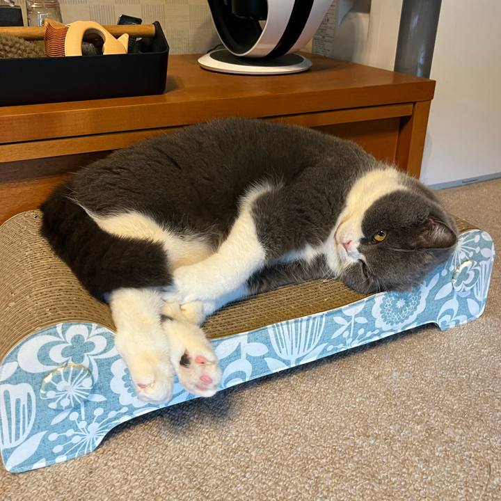 18744147 06cf 4d7b b856 2e2bf74bfb5e 1745026688033